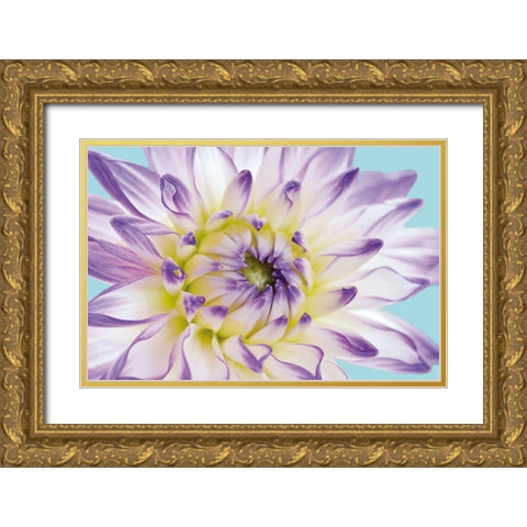 DAHLIA IN TEAL II Gold Ornate Wood Framed Art Print with Double Matting by Fossey, George