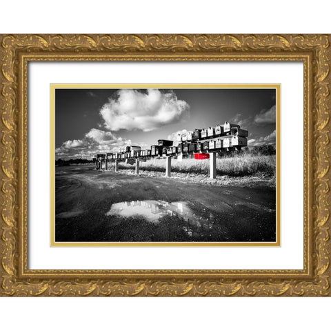Mail Boxes Red Gold Ornate Wood Framed Art Print with Double Matting by Kostka, Vladimir