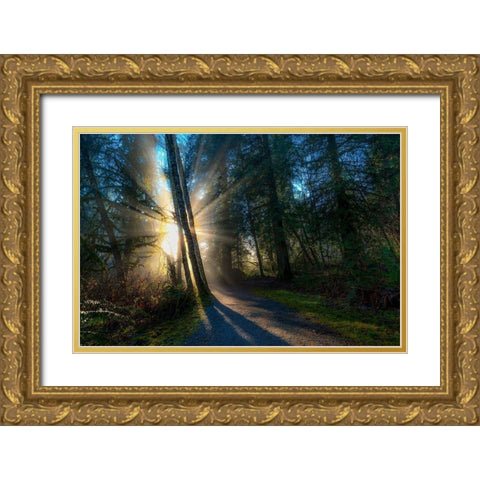 FOREST SUN RAYS Gold Ornate Wood Framed Art Print with Double Matting by Kostka, Vladimir