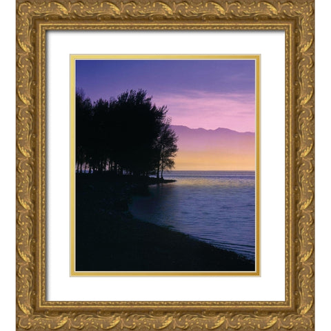 IDYLLIC LAKE IV Gold Ornate Wood Framed Art Print with Double Matting by Weissing, Gerd
