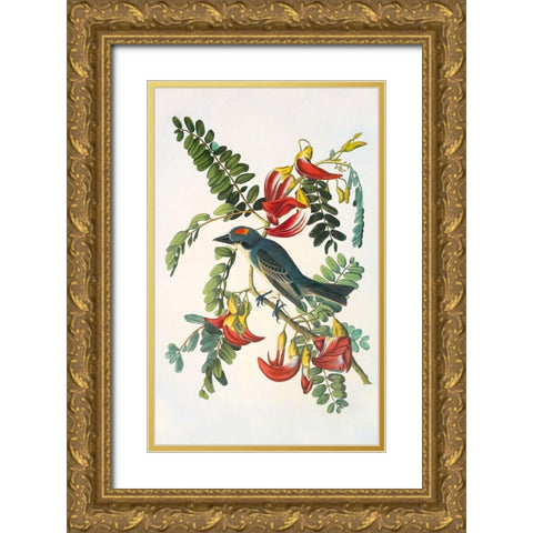 Gray Tyrant Gold Ornate Wood Framed Art Print with Double Matting by Audubon, John James