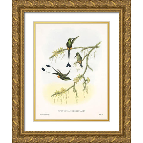 Spathura Solstitialis Gold Ornate Wood Framed Art Print with Double Matting by Ashley, Aaron