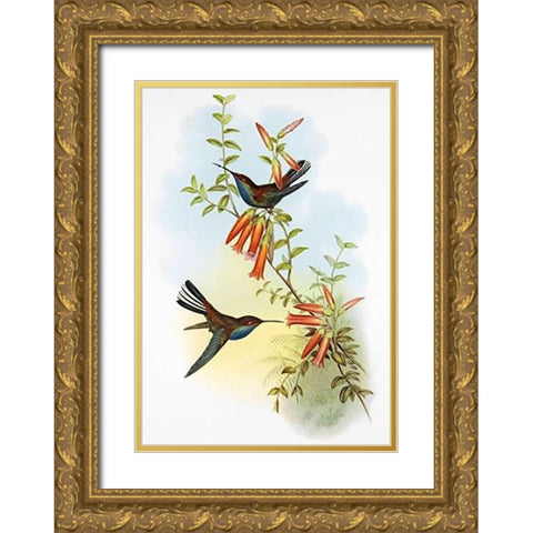 UroMuseumoa Bougieri Gold Ornate Wood Framed Art Print with Double Matting by Ashley, Aaron