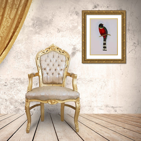 Trogon Mexicanus Gold Ornate Wood Framed Art Print with Double Matting by Ashley, Aaron