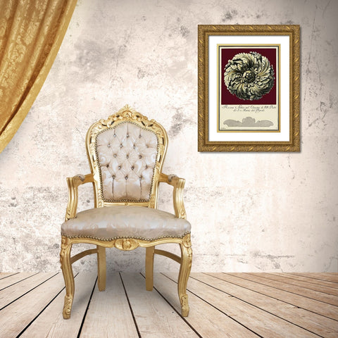 Rosone Antico IV Gold Ornate Wood Framed Art Print with Double Matting by Guerra
