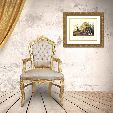 Mallard Duck (decorative border) Gold Ornate Wood Framed Art Print with Double Matting by Audubon, John James
