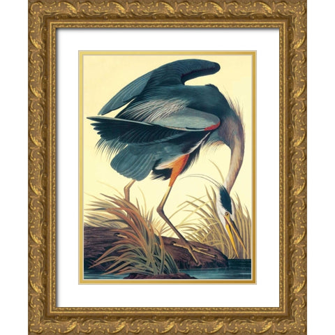 Great Blue Heron Gold Ornate Wood Framed Art Print with Double Matting by Audubon, John James