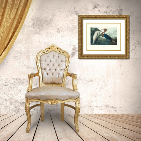 Purple Heron (decorative border) Gold Ornate Wood Framed Art Print with Double Matting by Audubon, John James