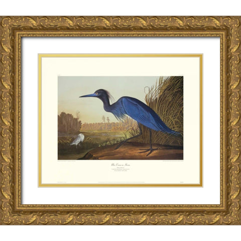 Blue Crane Or Heron (decorative border) Gold Ornate Wood Framed Art Print with Double Matting by Audubon, John James