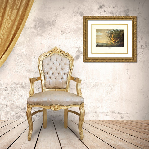 Long-Billed Curlew (decorative border) Gold Ornate Wood Framed Art Print with Double Matting by Audubon, John James