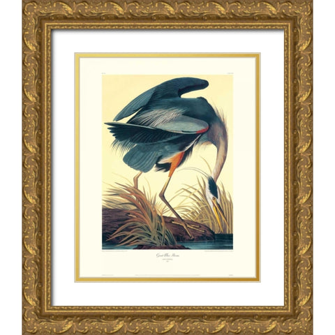 Great Blue Heron (decorative border) Gold Ornate Wood Framed Art Print with Double Matting by Audubon, John James