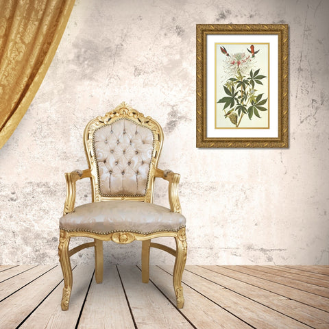 Ruff-Necked Hummingbird Gold Ornate Wood Framed Art Print with Double Matting by Audubon, John James