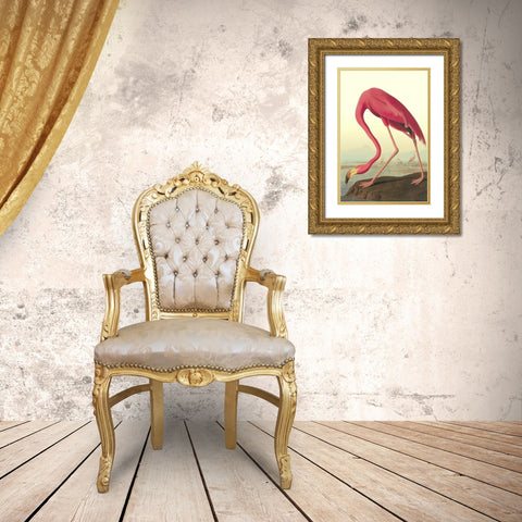 American Flamingo Gold Ornate Wood Framed Art Print with Double Matting by Audubon, John James
