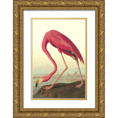 American Flamingo Gold Ornate Wood Framed Art Print with Double Matting by Audubon, John James