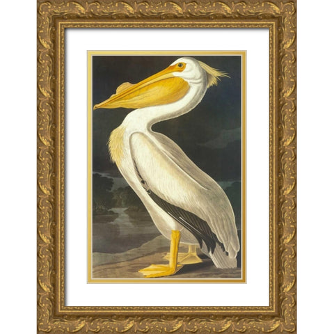 American White Pelican Gold Ornate Wood Framed Art Print with Double Matting by Audubon, John James