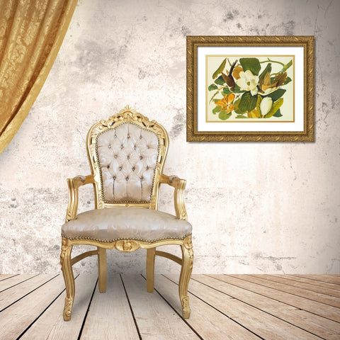 Black-Billed Cuckoo Gold Ornate Wood Framed Art Print with Double Matting by Audubon, John James