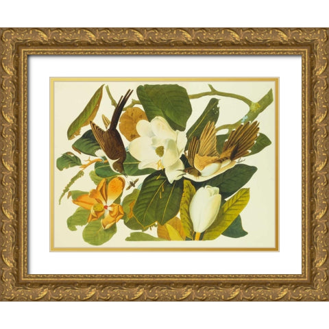 Black-Billed Cuckoo Gold Ornate Wood Framed Art Print with Double Matting by Audubon, John James