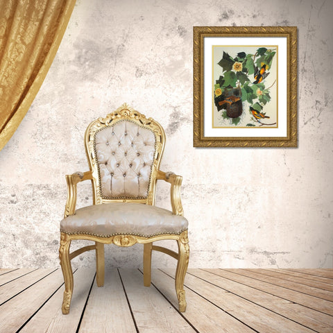 Baltimore Oriole Gold Ornate Wood Framed Art Print with Double Matting by Audubon, John James