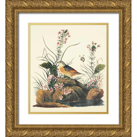 Yellow-Winged Sparrow Gold Ornate Wood Framed Art Print with Double Matting by Audubon, John James