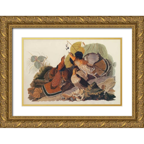 Ruffed Grouse Gold Ornate Wood Framed Art Print with Double Matting by Audubon, John James