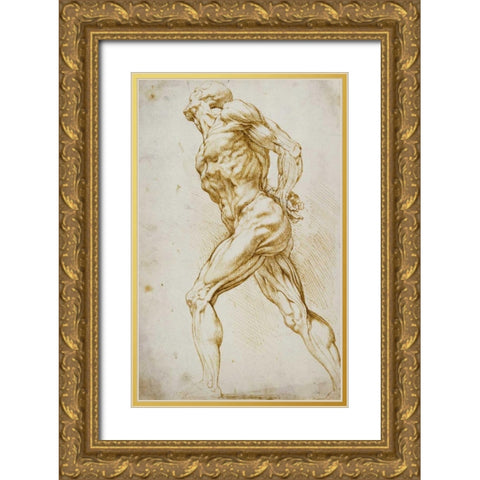 Anatomical Study: Nude Male Gold Ornate Wood Framed Art Print with Double Matting by Reubens, Peter Paul