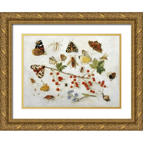 Butterflies, Moths and Other Insects Gold Ornate Wood Framed Art Print with Double Matting by Van Kessel, Jan