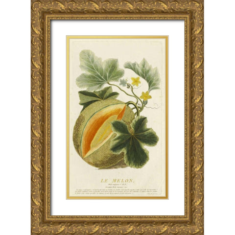 Melo Vulgaris Gold Ornate Wood Framed Art Print with Double Matting by Aubry, Jean