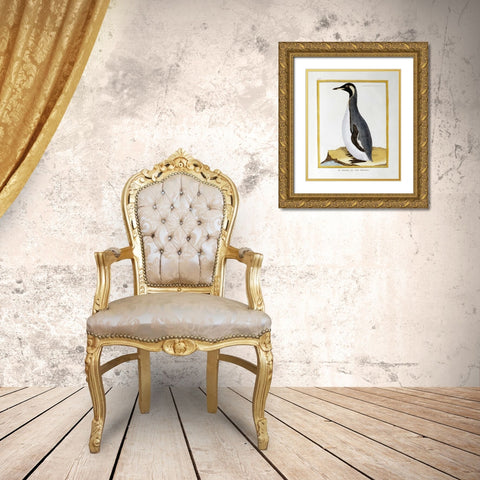 A Penguin, Falkland Islands Gold Ornate Wood Framed Art Print with Double Matting by Buffon, Georges-Louis Leclerc