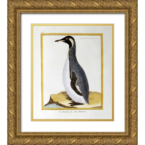 A Penguin, Falkland Islands Gold Ornate Wood Framed Art Print with Double Matting by Buffon, Georges-Louis Leclerc