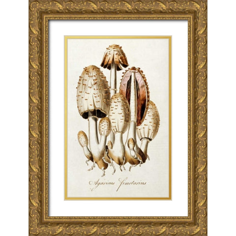 Egg Mushroom Gold Ornate Wood Framed Art Print with Double Matting by Curtis, William