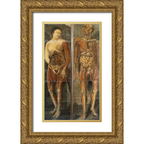 Anatomical Drawings of Male and Female Figures Gold Ornate Wood Framed Art Print with Double Matting by Dagoty, Jacques Fabian Gautier