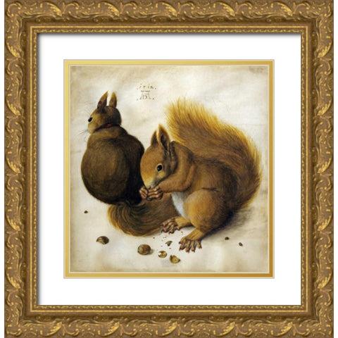 Two Squirrels, One Eating a Hazelnut Gold Ornate Wood Framed Art Print with Double Matting by Durer, Albrecht