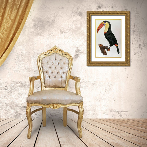 Le Toucan Gold Ornate Wood Framed Art Print with Double Matting by Le Vaillant, Francois