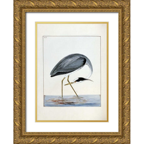 Heron Gold Ornate Wood Framed Art Print with Double Matting by Lewin, William
