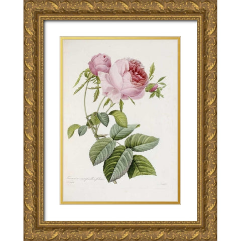 Rose Gold Ornate Wood Framed Art Print with Double Matting by Redoute, Pierre Joseph