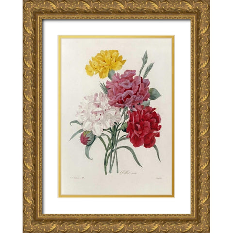 Carnations Gold Ornate Wood Framed Art Print with Double Matting by Redoute, Pierre Joseph