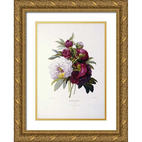 Peonies Gold Ornate Wood Framed Art Print with Double Matting by Redoute, Pierre Joseph