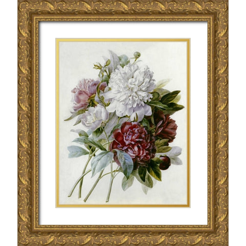 A Bouquet of Red, Pink and White Peonies Gold Ornate Wood Framed Art Print with Double Matting by Redoute, Pierre Joseph