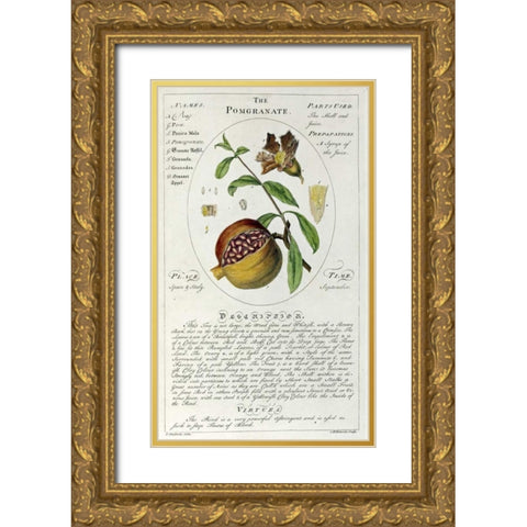 The Pomegranate Gold Ornate Wood Framed Art Print with Double Matting by Sheldrake, Timothy