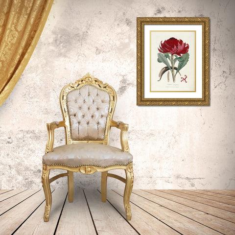 A Specimen of The Botany of New Holland Gold Ornate Wood Framed Art Print with Double Matting by Smith, James Edward