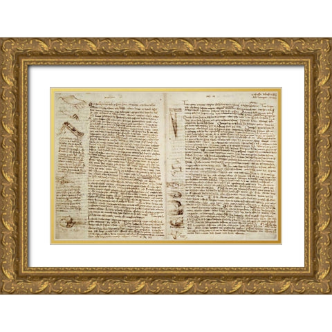 The Codex Hammer Gold Ornate Wood Framed Art Print with Double Matting by Da Vinci, Leonardo