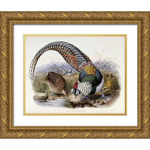 Family of Pheasants Gold Ornate Wood Framed Art Print with Double Matting by Elliot, Daniel Giraud