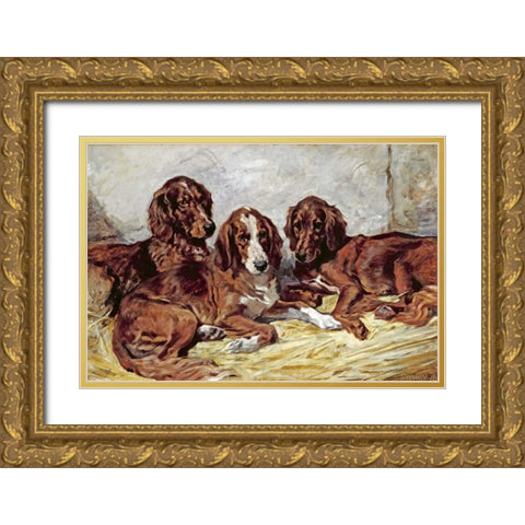 Shot and His Friends - Three Irish Red and White Setters Gold Ornate Wood Framed Art Print with Double Matting by Emms, John
