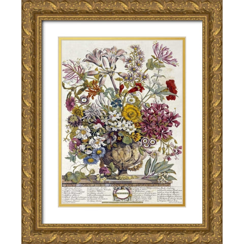 October - Twelve Months of Flowers Gold Ornate Wood Framed Art Print with Double Matting by Furber, Robert