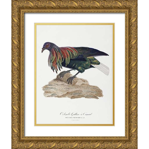 Columba Nicobarica Gold Ornate Wood Framed Art Print with Double Matting by Knip, Antoinette Pauline Jacqueline