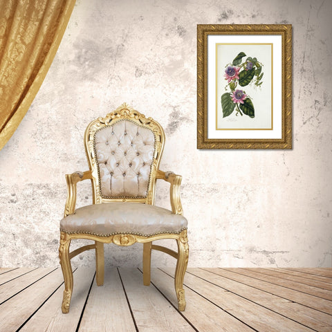 Passion Flowers Gold Ornate Wood Framed Art Print with Double Matting by Lawrence, Mary