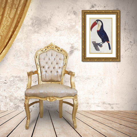 Toucan Gold Ornate Wood Framed Art Print with Double Matting by Levaillant, Francois
