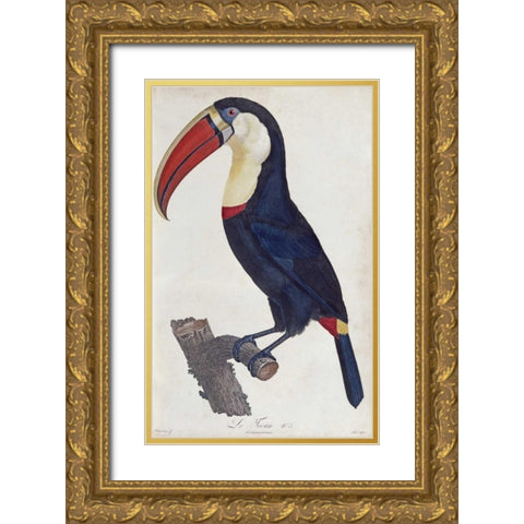 Toucan Gold Ornate Wood Framed Art Print with Double Matting by Levaillant, Francois