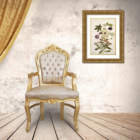 Milkweed, Poppy and Hibiscus Gold Ornate Wood Framed Art Print with Double Matting by Robins, Thomas Jr.