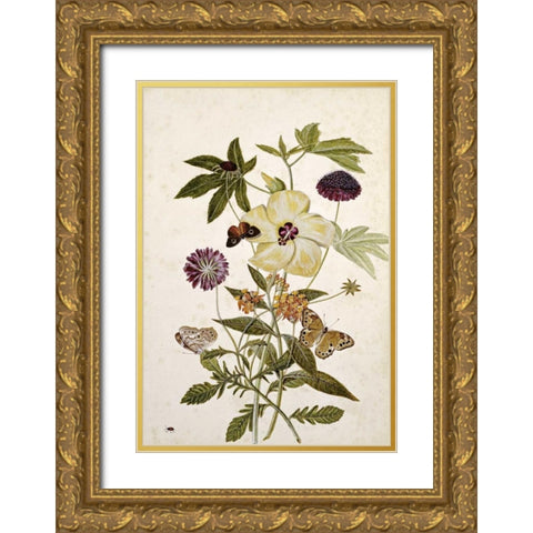 Milkweed, Poppy and Hibiscus Gold Ornate Wood Framed Art Print with Double Matting by Robins, Thomas Jr.